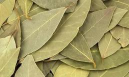Loại lá bình dân ở Việt Nam, ra nước ngoài thành đặc sản được bán với giá lên tới 2.000.000 đồng/kg