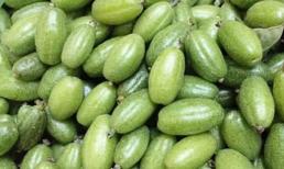 Loại quả 'chua lè chua lét' xưa cho không ai lấy, nay thành đặc sản 'hái ra tiền', có nơi bán 3,5 triệu đồng/kg