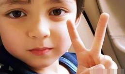 Trẻ em có chỉ số IQ cao thường có những đặc điểm này. Hãy xem con bạn có bao nhiêu đặc điểm trong số đó nhé