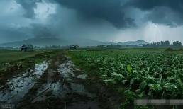 “Ngày 15 tháng 7 tôi không sợ ma, tôi chỉ sợ nước vào ngày 15 tháng 7 thôi”. Ngày mai là ngày 15 tháng 7, trời mưa thì có gì phải sợ?