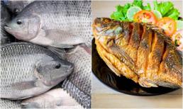11 loại cá 'ngậm' nhiều thủy ngân, bán đầy chợ Việt, bà nội trợ cần cẩn trọng khi mua
