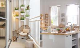 4 dấu hiệu chứng tỏ căn hộ chung cư của bạn đang “phát lộc”, thăng hoa cả sự nghiệp lẫn tiền tài