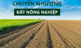 Có 5 điều kiện bắt buộc khi chuyển nhượng quyền sử dụng đất nông nghiệp, cụ thể là gì?