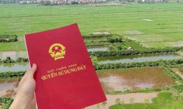 Chuyển đổi đất nông nghiệp không đủ điều kiện sẽ phải đối diện hậu quả như thế nào?