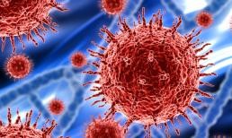 Virus corona (Covid-19) hoành hành suốt ba năm trước đó đã biến mất, nhưng nó để lại 4 hiện tượng kỳ lạ. Liệu nó tốt hay xấu?