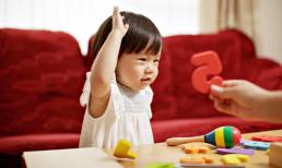 Bé 3 tuổi đọc thuộc lòng hàng chục bài thơ nhưng bị trường mẫu giáo trả về sau 5 ngày: Lý do xót xa đằng sau danh xưng “thần đồng”