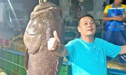 Bắt được 'thủy quái' dài 1,8m, người đàn ông bán vội có ngay gần 130 triệu đồng