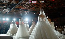 The Vow’s Legacy - Wedding Fair 2025: Khi thời trang cưới thăng hoa cùng tình yêu tại Bridal Show