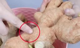 Hôm nay tôi mới biết loại gừng này không thể mua được. Chúng ta hãy cùng tìm hiểu để tránh mua nhầm sau khi đọc bài viết này nhé