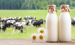 'From farm to glass' - triết lý mới dẫn đầu xu hướng sữa “trung thực” tại Việt Nam