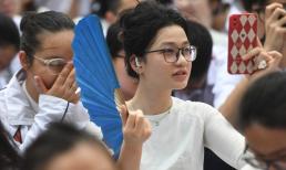Học ngôn ngữ Anh, Ngôn ngữ Trung, Ngôn ngữ Hàn và Ngôn ngữ Nhật ngành nào dễ xin việc?