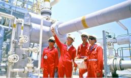 Ngành học này tại Việt Nam 4 năm liền lọt top thế giới, lương lên tới hơn 50 triệu/ngày