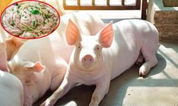 Lợn có một bộ phận nhiều người tưởng bổ hay mua về ăn hóa ra là 'sát thủ thầm lặng', hiểm họa khôn lường cho sức khỏe