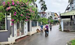 Làng quê đáng sống ở Hưng Yên: Toà nhà to đẹp, con đường đầy hoa bừng sáng khu nông thôn mới 