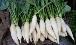 Loại rau bổ ngang nhân sâm tổ yến, chợ Việt chỉ bán 20.000 đồng/kg, hiện đang vào vụ