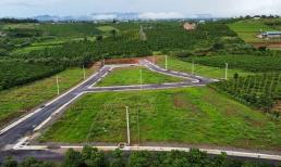 Đất trồng cây lâu năm cùng 4 loại đất khác từ nay nằm trong danh sách loại đất có thời hạn sử dụng 50 năm