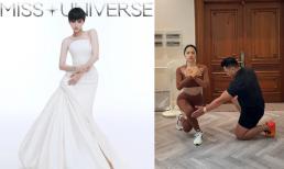 Hương Giang tung clip đáp trả tin đồn bị thay thế tại Miss Universe 2025