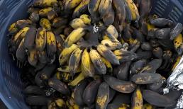 Nếu một ngày nào đó bạn không còn tiền, không còn quyền lực, không còn mối quan hệ, đừng bỏ cuộc. Hãy nhớ đến tư duy 'bán chuối thối ' của người Do Thái