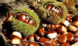 'Vua của trái cây khô' đang vào mùa, tốt ngang nhân sâm, giá chỉ hơn 50.000 đồng/kg