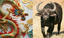 Tử vi ngày 31/10/2025 của 12 con giáp: Tuổi Sửu công việc thuận lợi đủ đường, Thìn tài lộc lên xuống thất thường