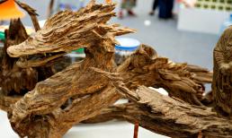 'Khối gỗ' hình rồng ở Hà Nội được trả giá 700 triệu đồng: Vì sao chủ nhân không bán?