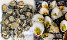 Loài ốc nghe tên giống một 'bộ phận nhạy cảm' lại là đặc sản Côn Đảo, hiếm hơn cả bào ngư, dân sành ăn vẫn tranh nhau truy lùng