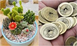 Đừng chủ quan: 3 vật phẩm tuyệt đối không nên bày ở cửa hàng kẻo tài vận sa sút, vận đen kéo đến