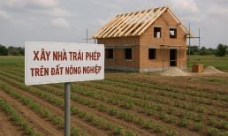 Từ nay, xây nhà trên đất nông nghiệp sẽ bị phạt rất nặng, có thể lên tới 400 triệu đồng