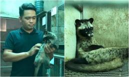 Chàng trai Nghệ An thu tiền tỉ mỗi năm nhờ nuôi loài 'ăn đêm, đẻ khỏe'