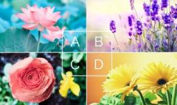Hãy làm bài kiểm tra tâm lý cực kỳ chính xác này: Chọn loài hoa yêu thích để tìm hiểu ấn xem bạn tạo tượng gì cho người khác? 