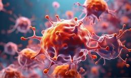 Những người có khối u ác tính trong cơ thể thường biểu hiện 5 dấu hiệu; hãy chú ý kỹ trước khi quá muộn