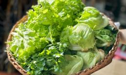 3 loại rau dễ 'ngậm' hóa chất, còn là ổ ký sinh trùng nhưng người Việt rất hay ăn