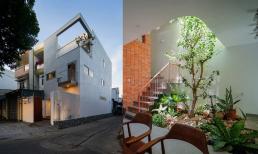 Mê mẩn căn nhà phố 2,5 tầng tràn ngập ánh sáng tự nhiên