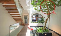 5 dấu hiệu cho thấy ngôi nhà của bạn là 'đất vàng' phong thủy, chớ dại mà bán kẻo đánh mất 'kho báu' tài lộc