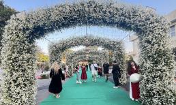 Con đường hoa cúc họa mi đang hút khách chụp ảnh ở Hà Nội