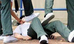 Nghiên cứu: Trẻ bạo lực, hành hung, phạm tội thì ra là có 1 điểm chung đáng sợ, bạn có biết đó là gì?