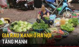 Giá rau xanh tăng 'phi mã', nhiều bà nội trợ dè xẻn chỉ dám mua... nửa mớ rau muống