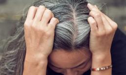 Tóc bạc có thể là dấu hiệu cơ thể tiêu diệt tế bào ung thư?