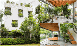 Chiêm ngưỡng ngôi nhà có ‘khu rừng nhiệt đới’ toạ lạc tại một tỉnh của Việt Nam, từng 4 lần đạt giải thưởng quốc tế