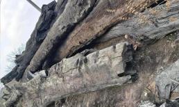 Người đàn ông đào được 4 khúc gỗ đen kịt tỏa ra mùi thơm, chuyên gia thẩm định ước tính giá trị hơn 37 tỷ đồng