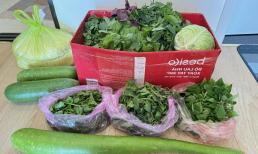 Giá rau xanh tăng vọt: Một tuần hết nửa triệu mua rau, bà nội trợ ở Hà Nội nhờ tiếp tế gấp từ quê