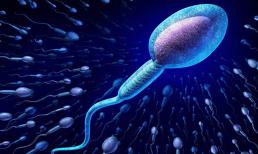 Đàn ông bước vào độ tuổi này chất lượng tinh trùng bắt đầu suy giảm, nguy cơ gây bệnh cho con tăng vọt?