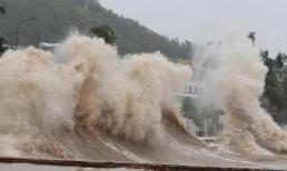 Biển Đông sắp đón bão số 15, hướng về Bình Định - Bình Thuận cũ: Dự kiến những ngày tới ra sao?