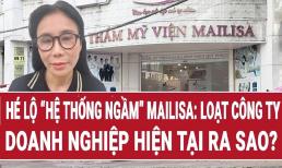 Vén màn bí ẩn 'hệ sinh thái Mailisa' tạo doanh thu nghìn tỷ cho vợ chồng bà Phan Thị Mai và ông Hoàng Kim Khánh