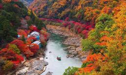 Nơi 3 năm liên tiếp được báo Mỹ vinh danh 'hấp dẫn nhất thế giới': Đón lượng khách Việt cao kỷ lục