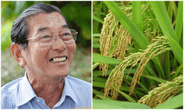 Chuyện gì xảy ra giữa ruộng lúa khiến 'cha đẻ' lúa ST25 phải thốt lên 'kỳ tích thiên nhiên'?