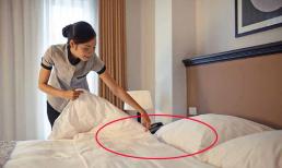 Sau khi nhận phòng khách sạn, nếu thấy trên giường có vật này thì nên thương lượng với lễ tân để trả phòng ngay
