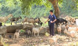 Nghề như 'cướp' ra tiền, không cần bằng cấp: Làm 1 tháng sống khỏe 2 năm, nhưng không ai chịu làm