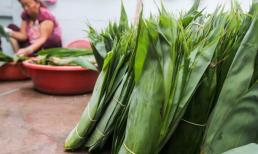 Việt Nam sở hữu loại lá từng là thứ bỏ đi, 'cho không ai lấy', nay được bao tiêu, giúp dân thu tiền tỷ mỗi năm