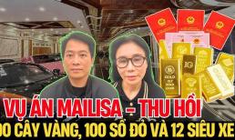 100 sổ đỏ, 12 siêu xe và các tài sản vụ Mailisa sẽ bị xử lý thế nào?